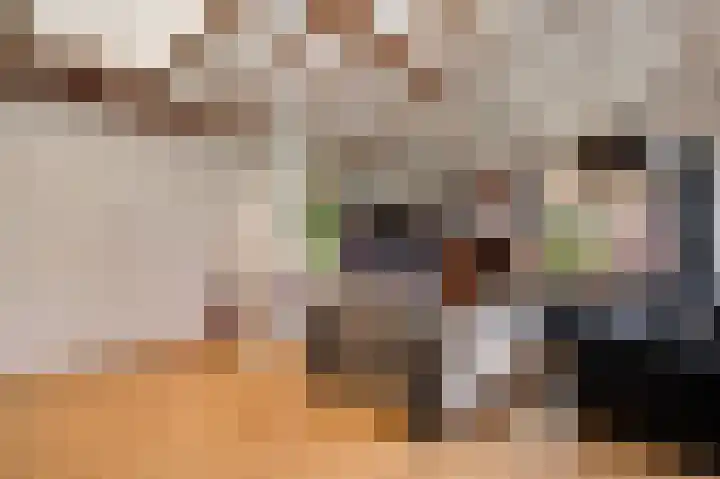 Vaartweg 4 Haelen thumbnail 12
