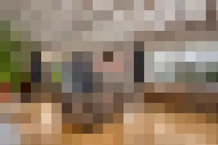 Vaartweg 4 Haelen thumbnail 13