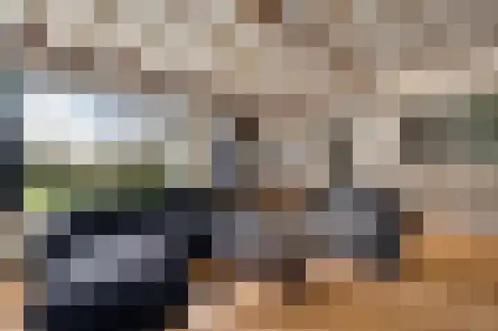 Vaartweg 4 Haelen thumbnail 14