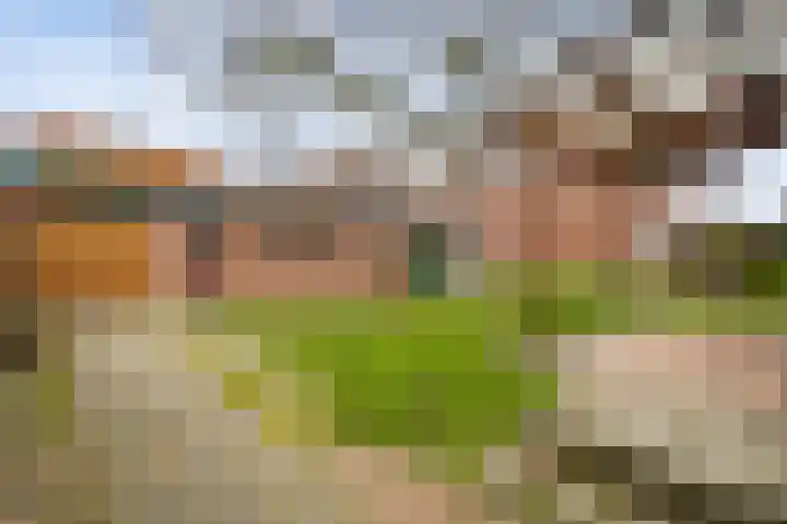 Vaartweg 4 Haelen thumbnail 26