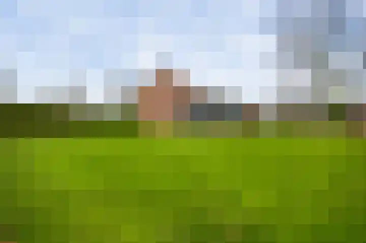 Vaartweg 4 Haelen thumbnail 29