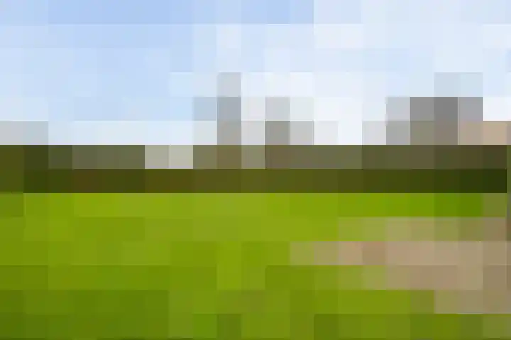 Vaartweg 4 Haelen thumbnail 32
