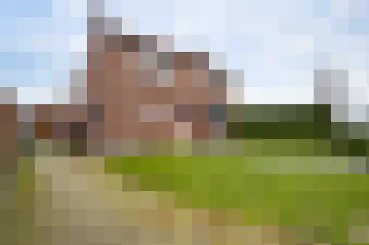 Vaartweg 4 Haelen thumbnail 37