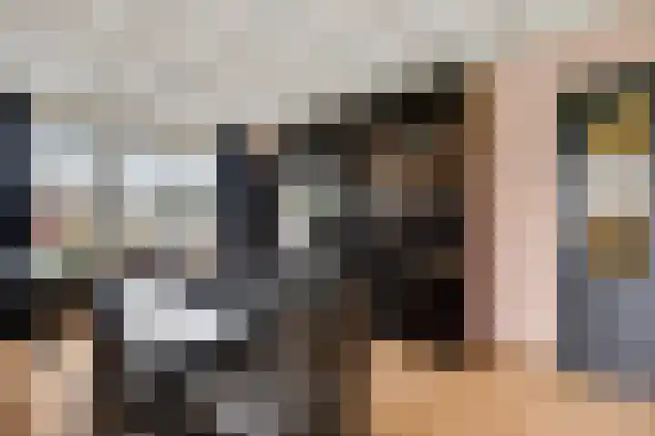 Vaartweg 4 Haelen thumbnail 7