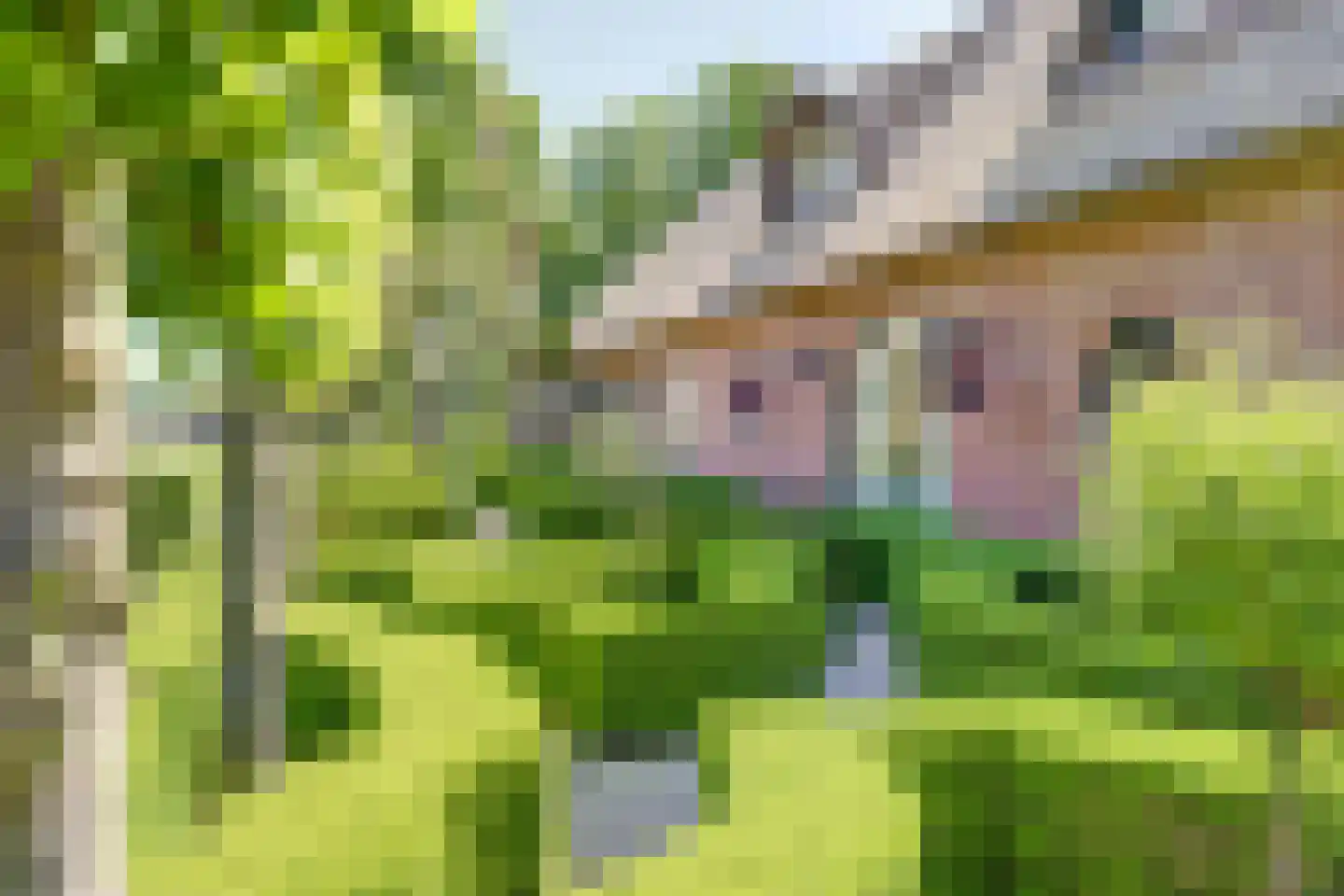 Vaartweg 58 Dongen thumbnail 7