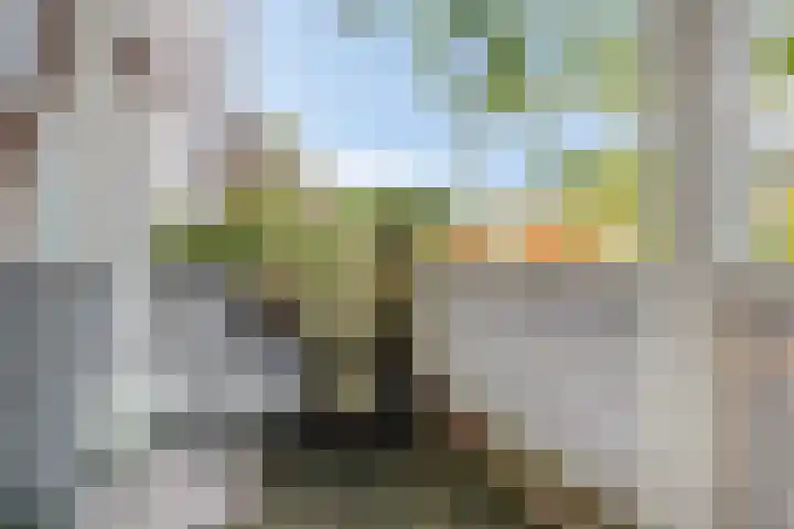 Vaartweg 67 A Hilversum thumbnail 28