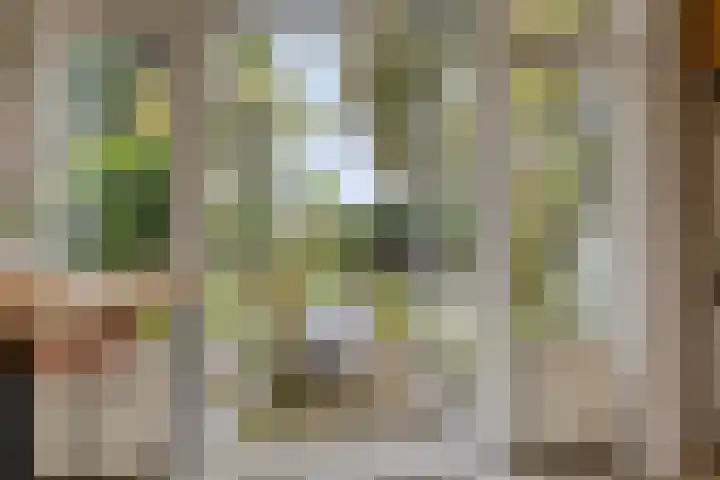 Vaartweg 67 A Hilversum thumbnail 4