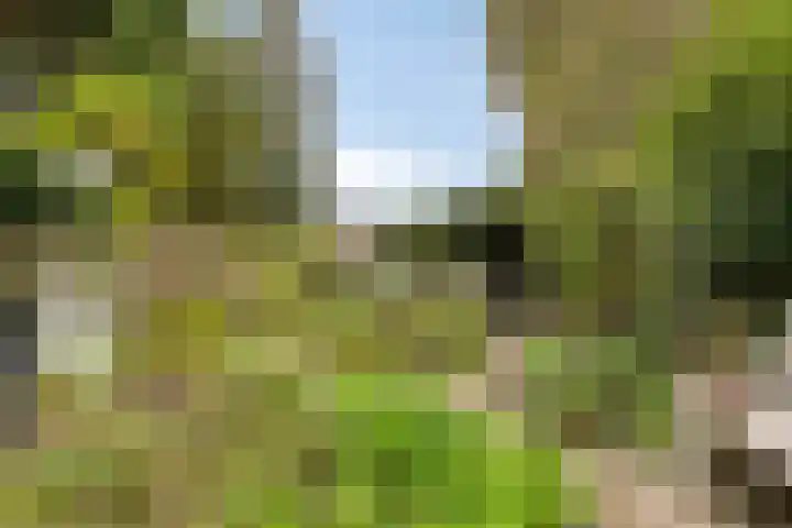 Vaartweg 67 A Hilversum thumbnail 45