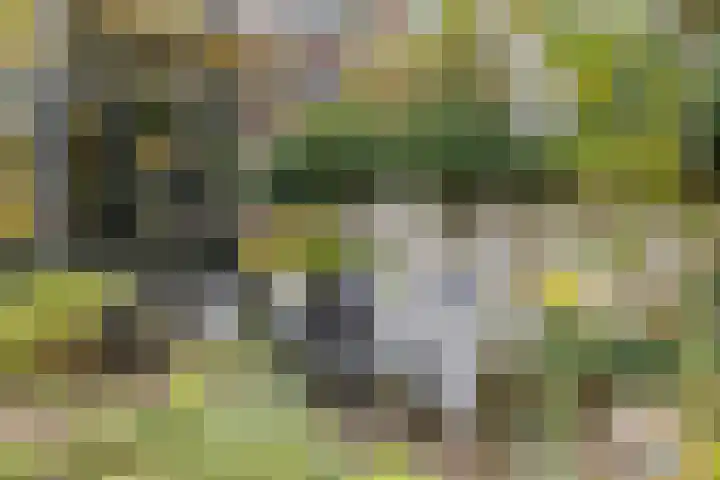 Vaartweg 67 A Hilversum thumbnail 46