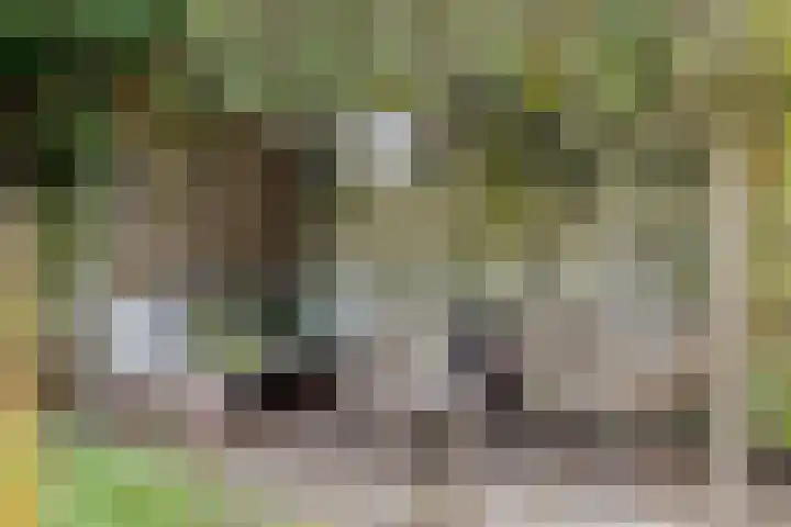 Vaartweg 67 A Hilversum thumbnail 47