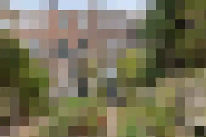 Vaartweg 67 A Hilversum thumbnail 48