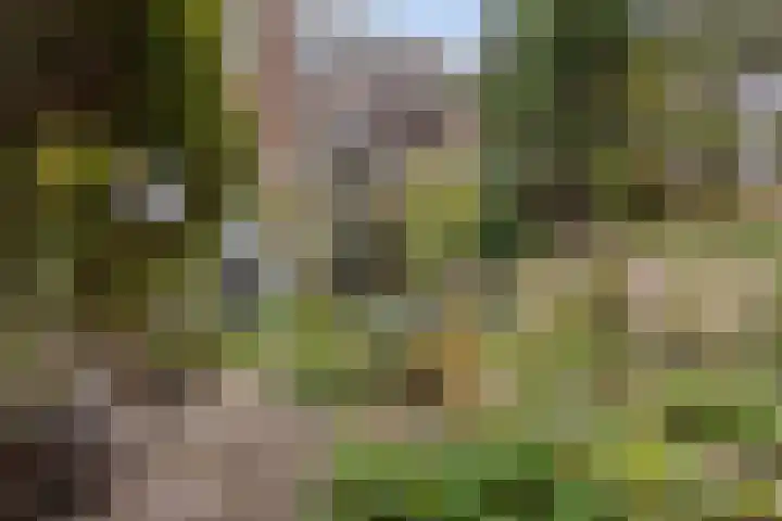 Vaartweg 67 A Hilversum thumbnail 49