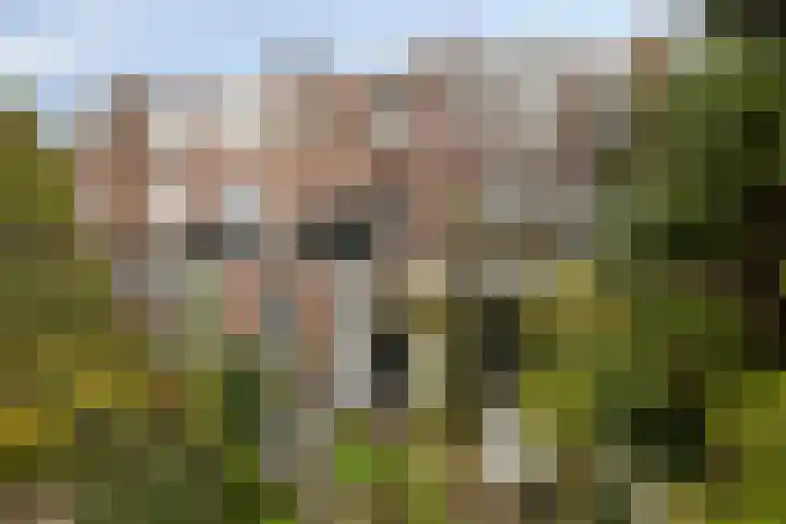 Vaartweg 67 A Hilversum thumbnail 50