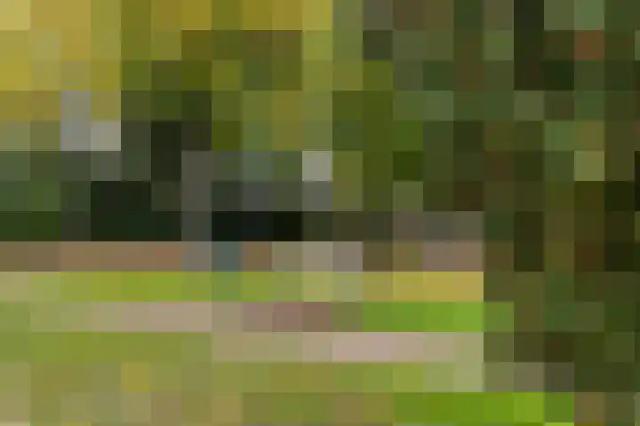 Vaartweg 67 A Hilversum thumbnail 63
