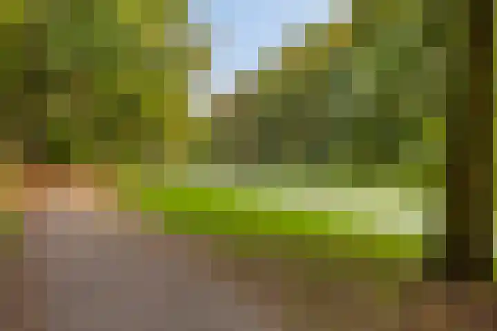 Vaartweg 67 A Hilversum thumbnail 64