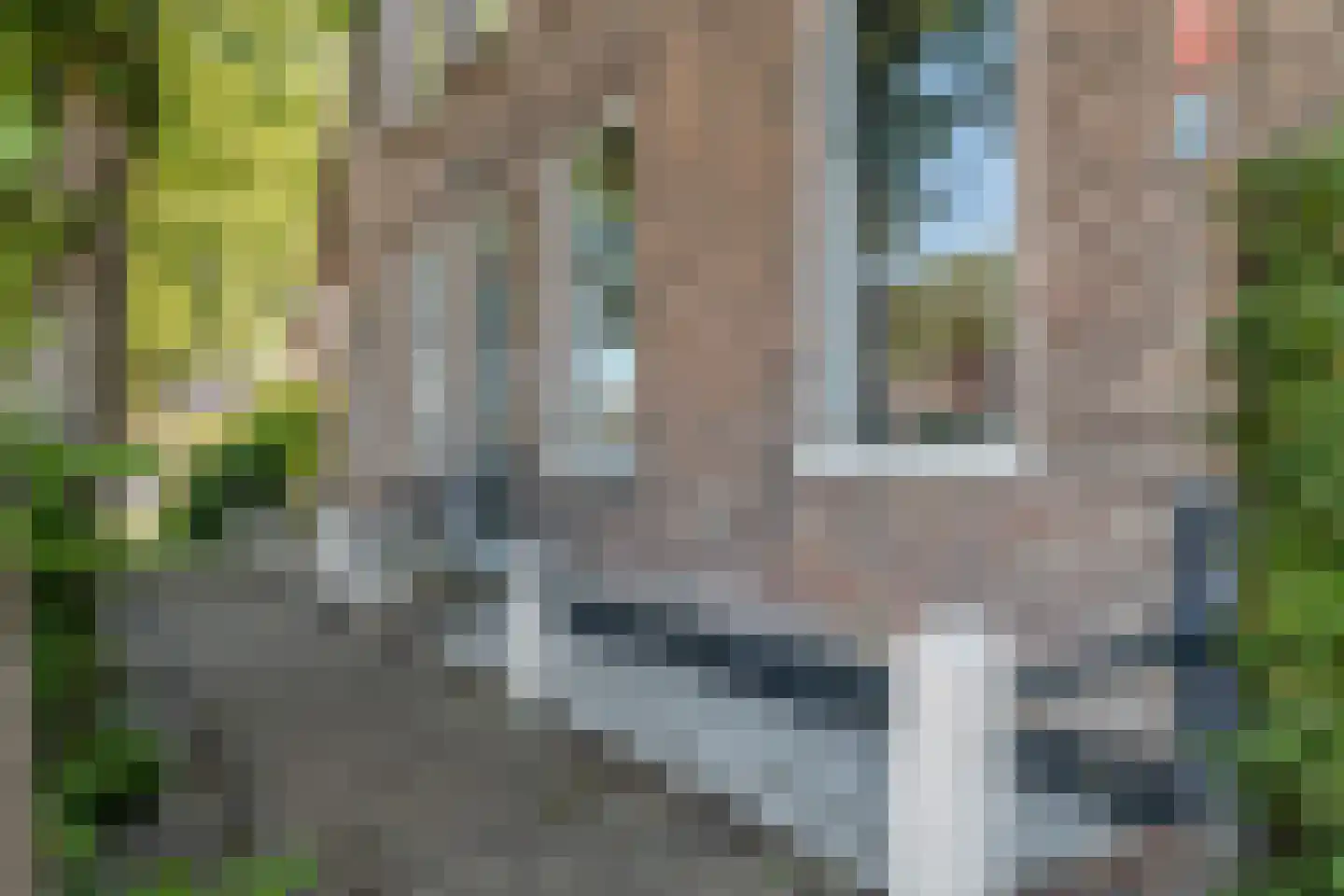 Vaartweg 8 Smilde thumbnail 4