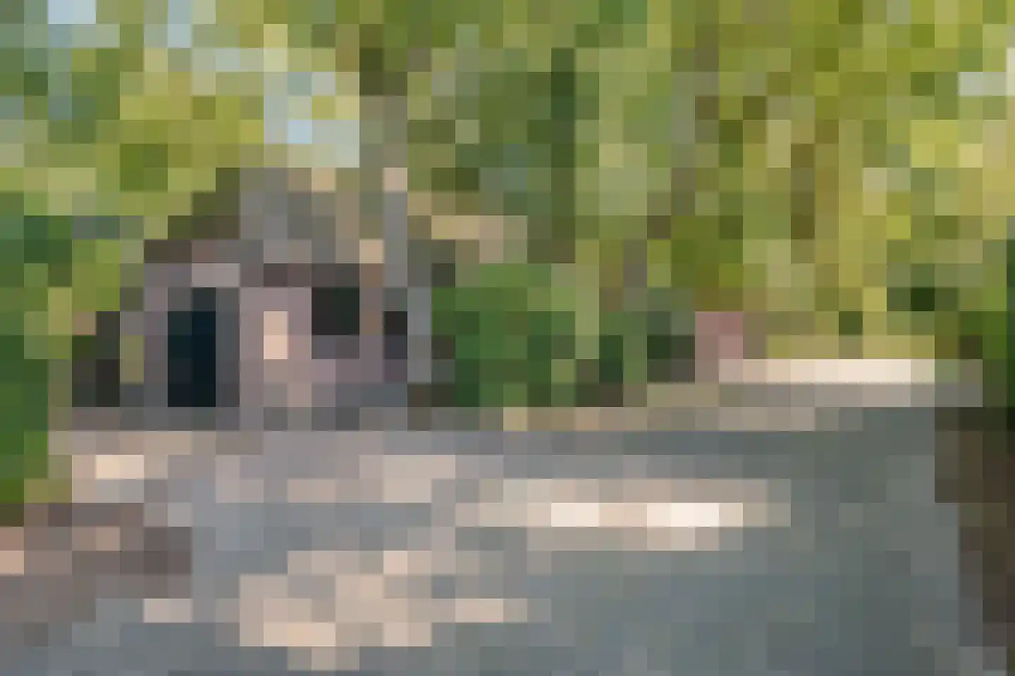 Vaartweg 8 Smilde thumbnail 45