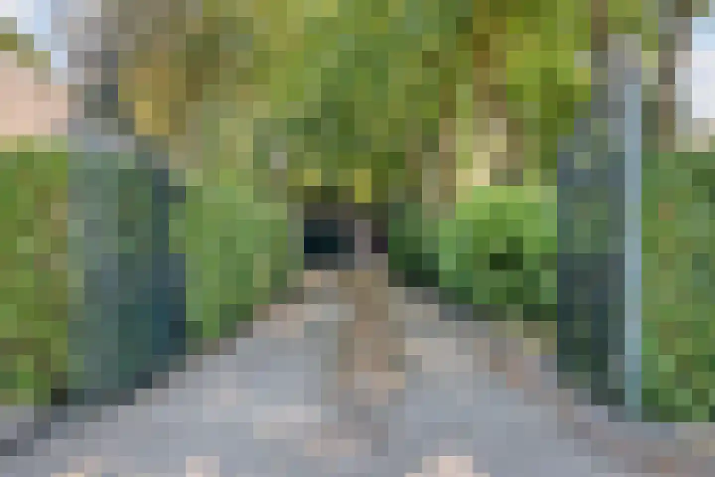 Vaartweg 8 Smilde thumbnail 5