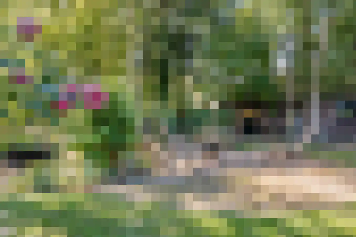 Vaartweg 8 Smilde thumbnail 53