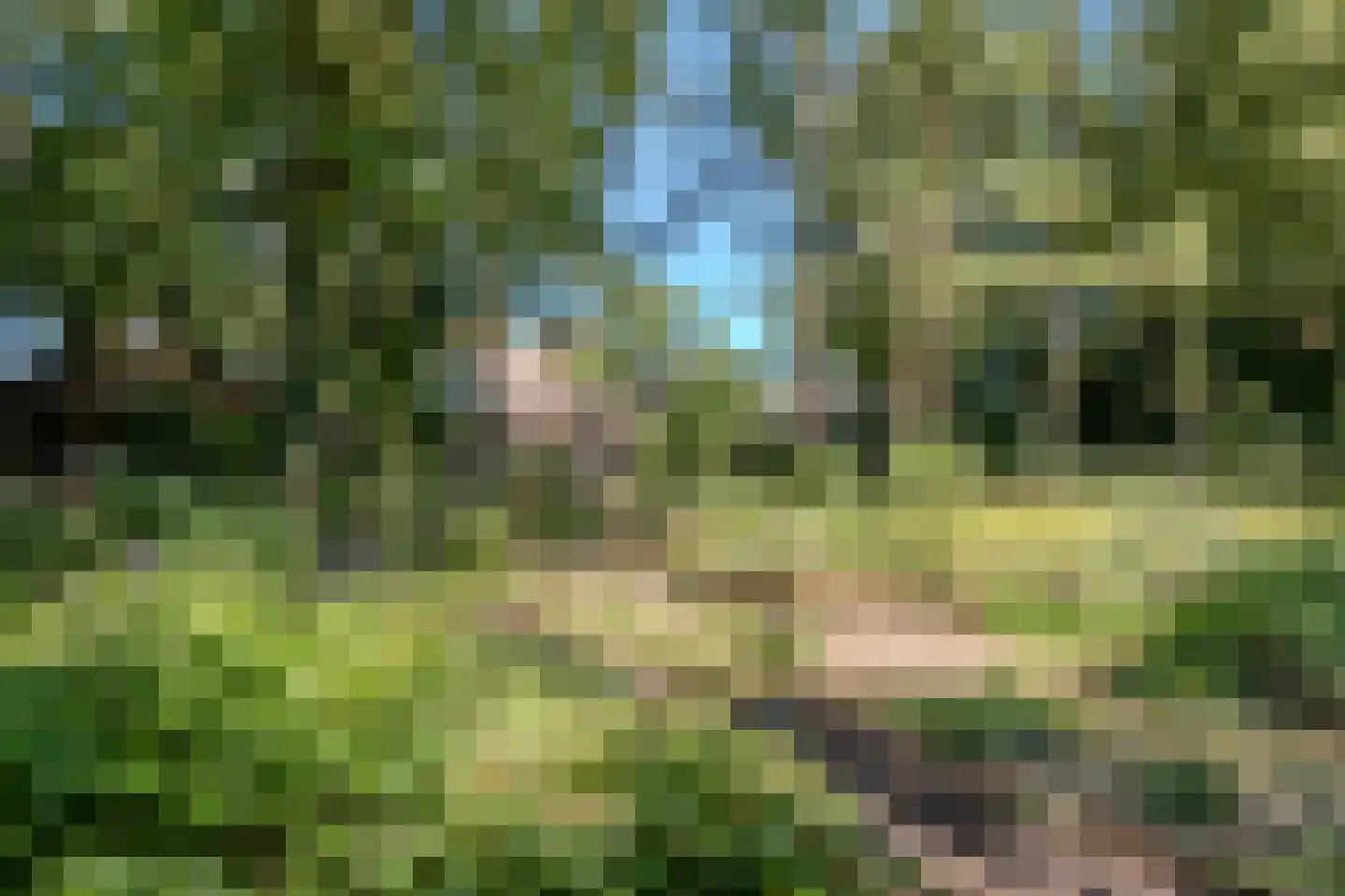 Vaartweg 8 Smilde thumbnail 54