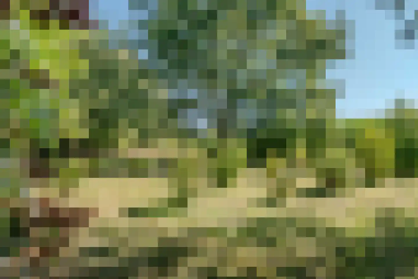 Vaartweg 8 Smilde thumbnail 55