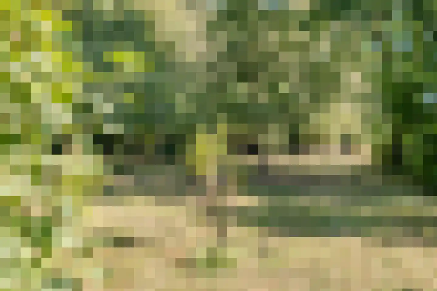 Vaartweg 8 Smilde thumbnail 56