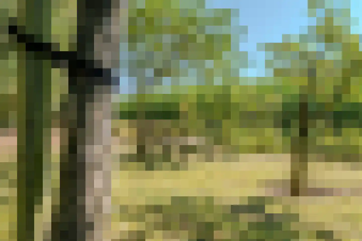 Vaartweg 8 Smilde thumbnail 57