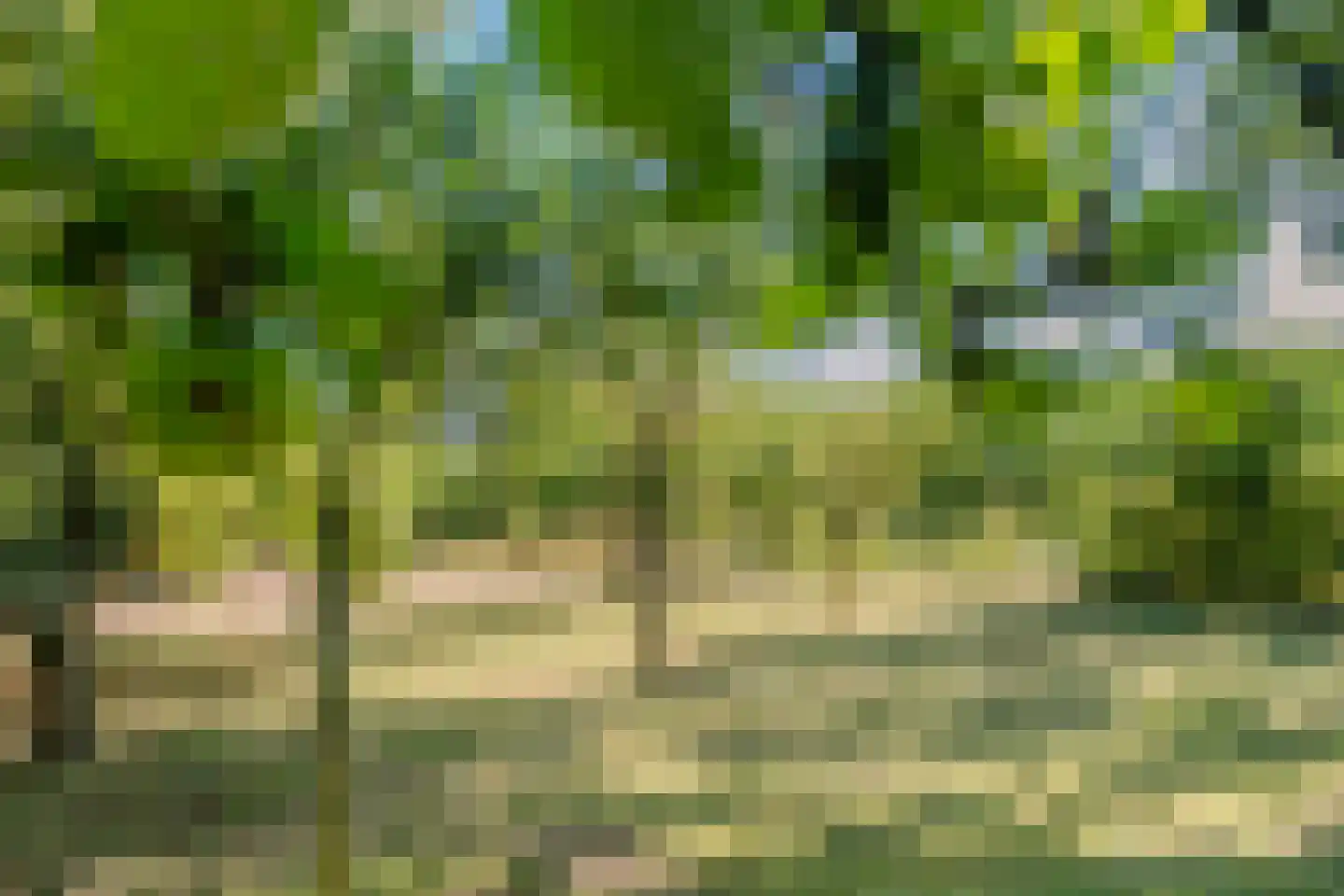 Vaartweg 8 Smilde thumbnail 59