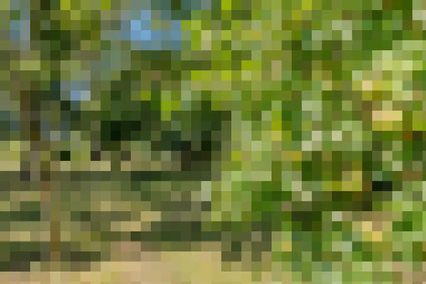 Vaartweg 8 Smilde thumbnail 60
