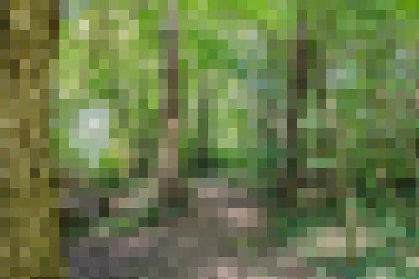 Vaartweg 8 Smilde thumbnail 61