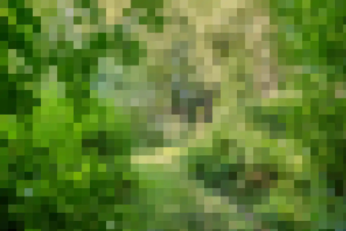 Vaartweg 8 Smilde thumbnail 62