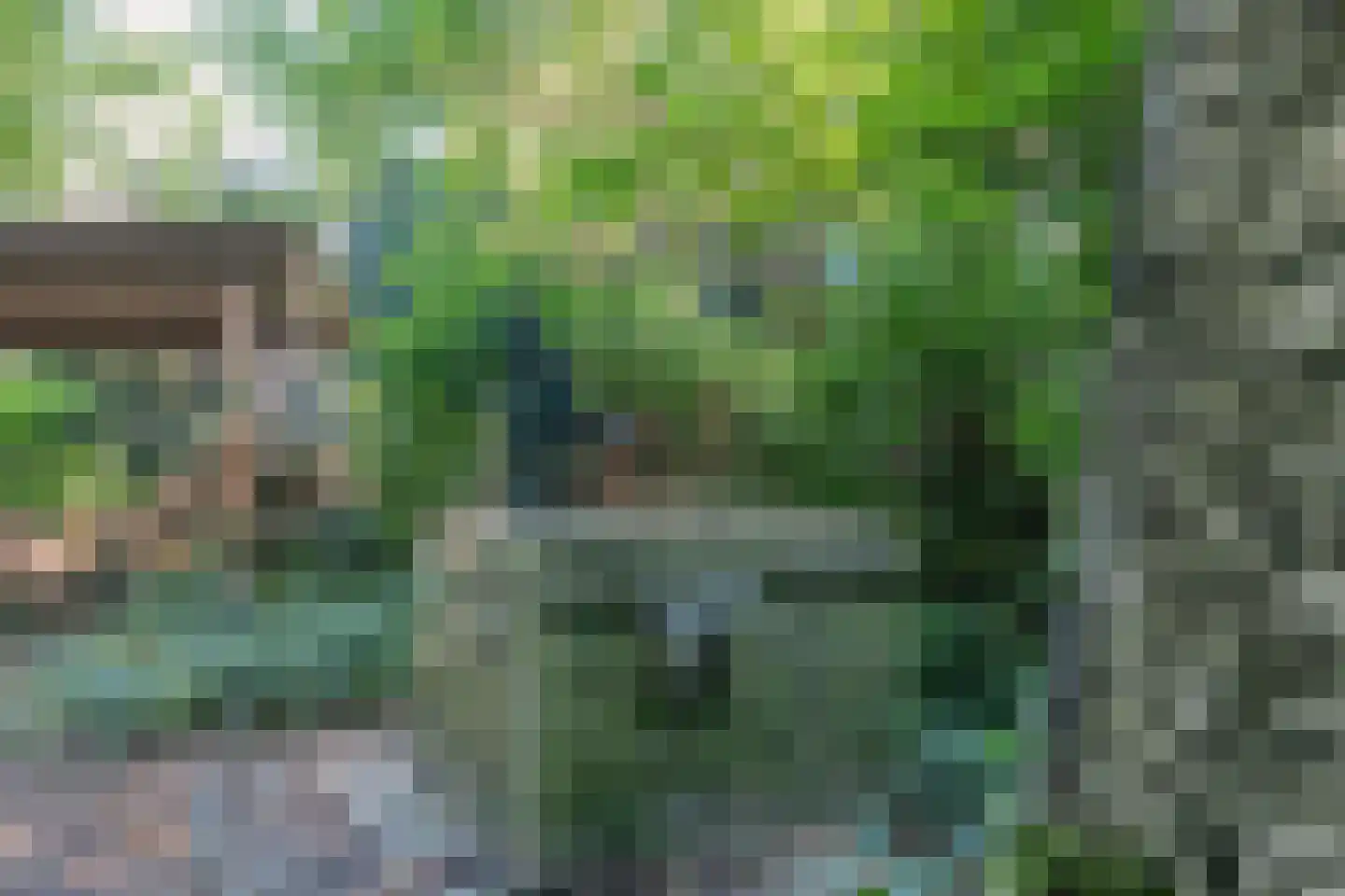 Vaartweg 8 Smilde thumbnail 63