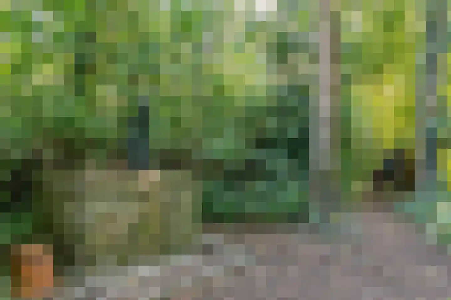 Vaartweg 8 Smilde thumbnail 64