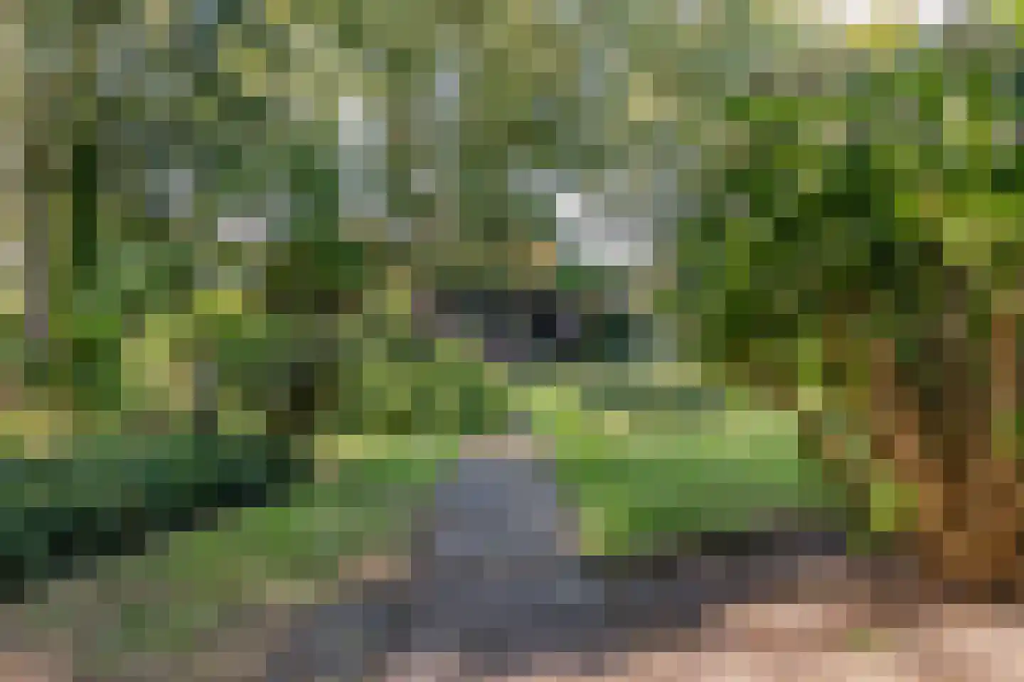Vaartweg 8 Smilde thumbnail 65