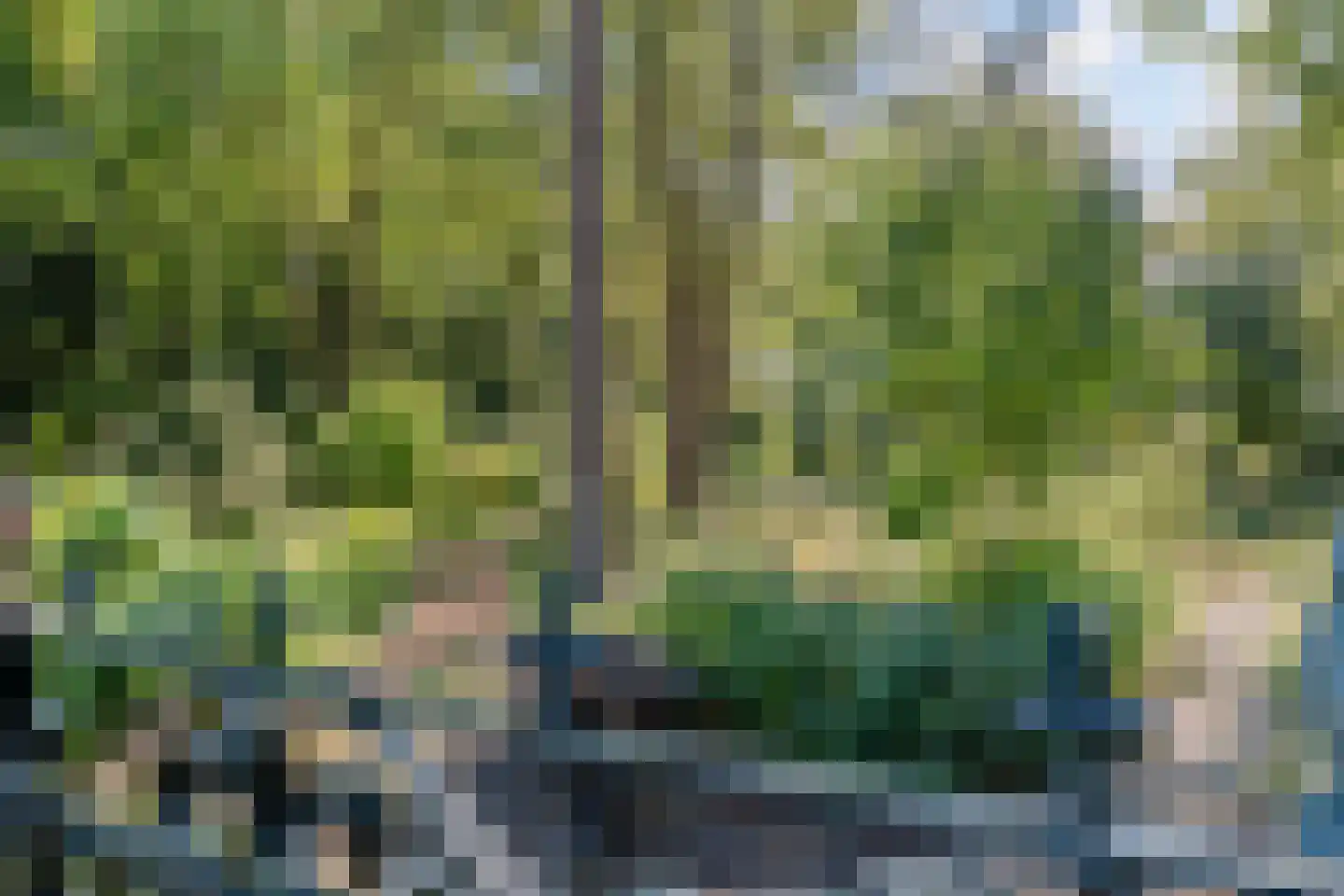 Vaartweg 8 Smilde thumbnail 67