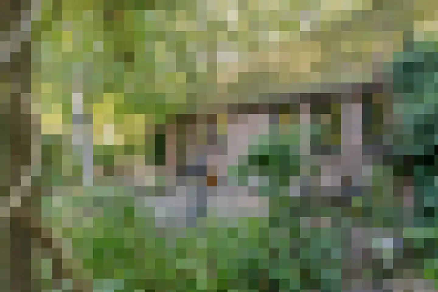 Vaartweg 8 Smilde thumbnail 68