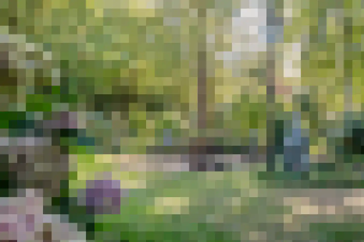 Vaartweg 8 Smilde thumbnail 69