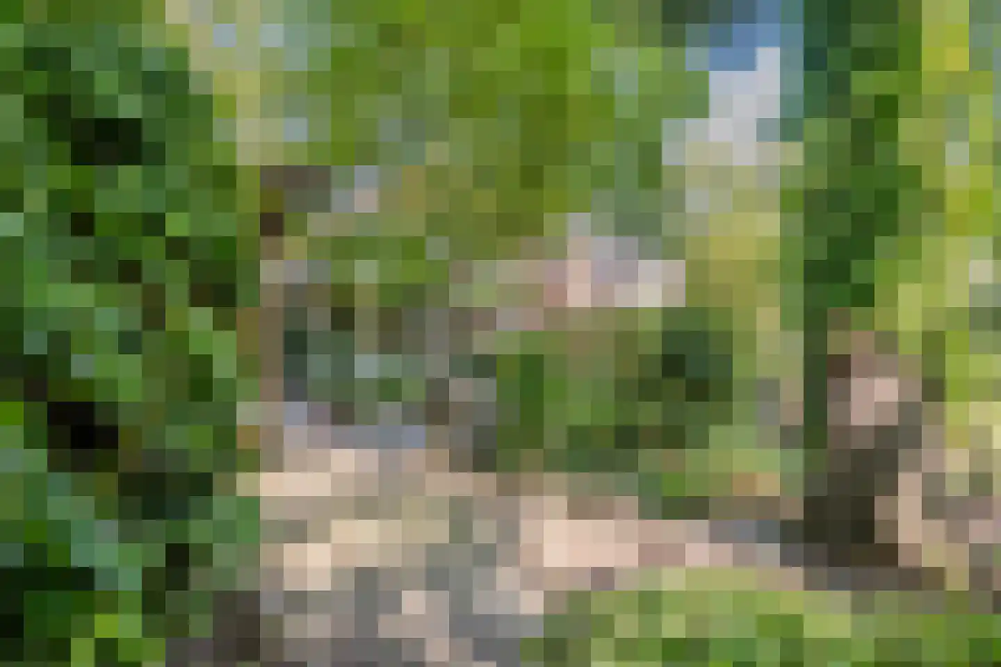 Vaartweg 8 Smilde thumbnail 70