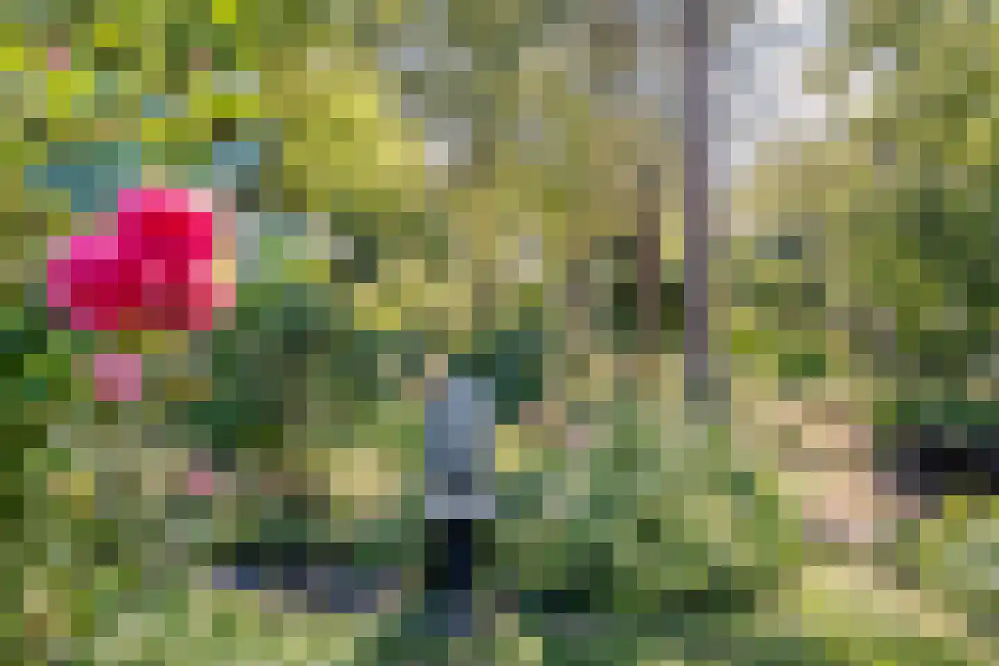 Vaartweg 8 Smilde thumbnail 71