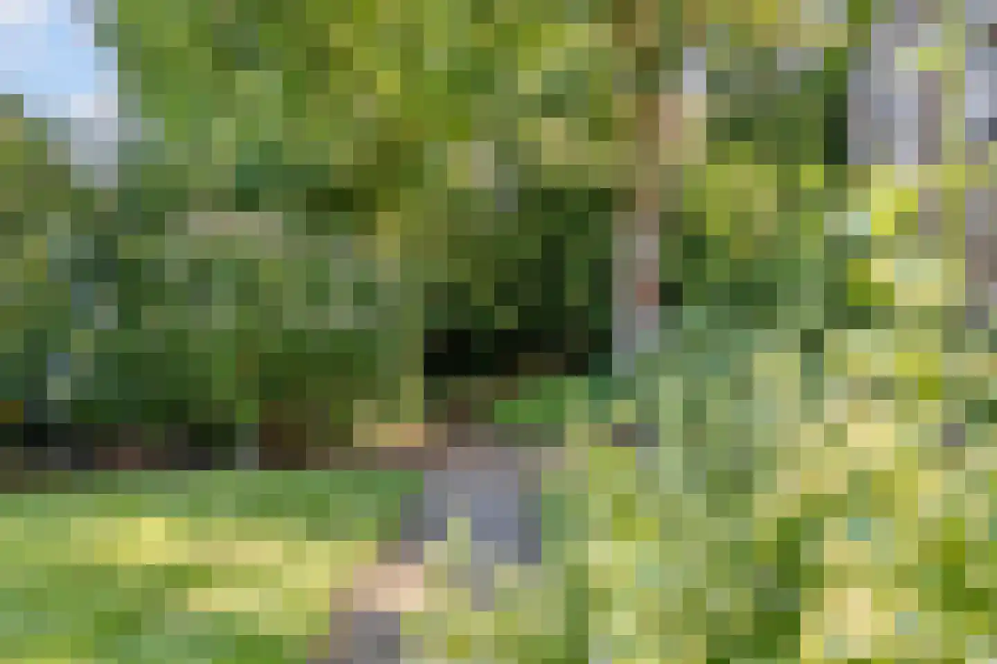 Vaartweg 8 Smilde thumbnail 72