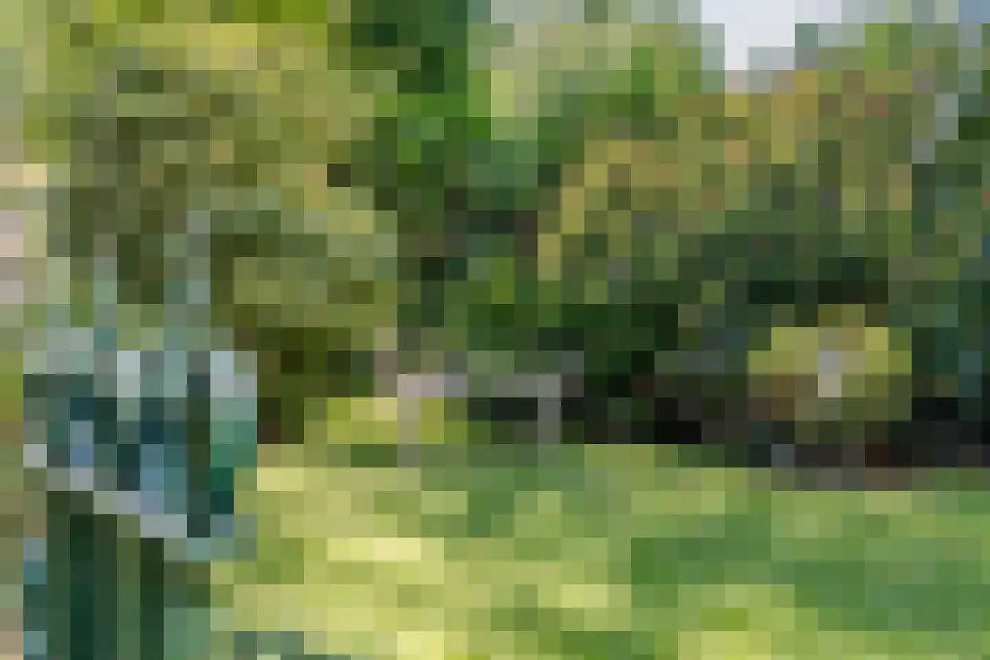 Vaartweg 8 Smilde thumbnail 73