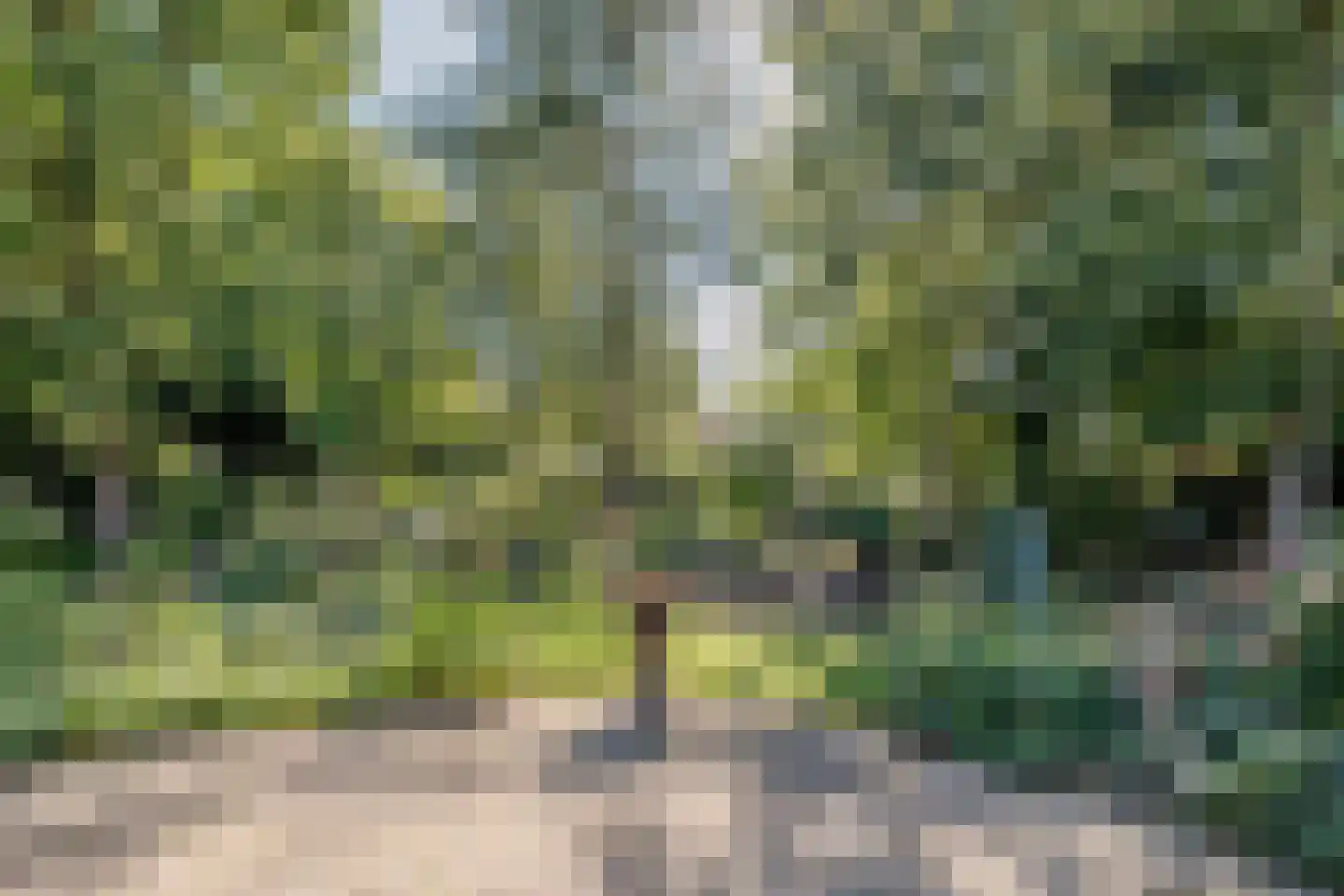 Vaartweg 8 Smilde thumbnail 74