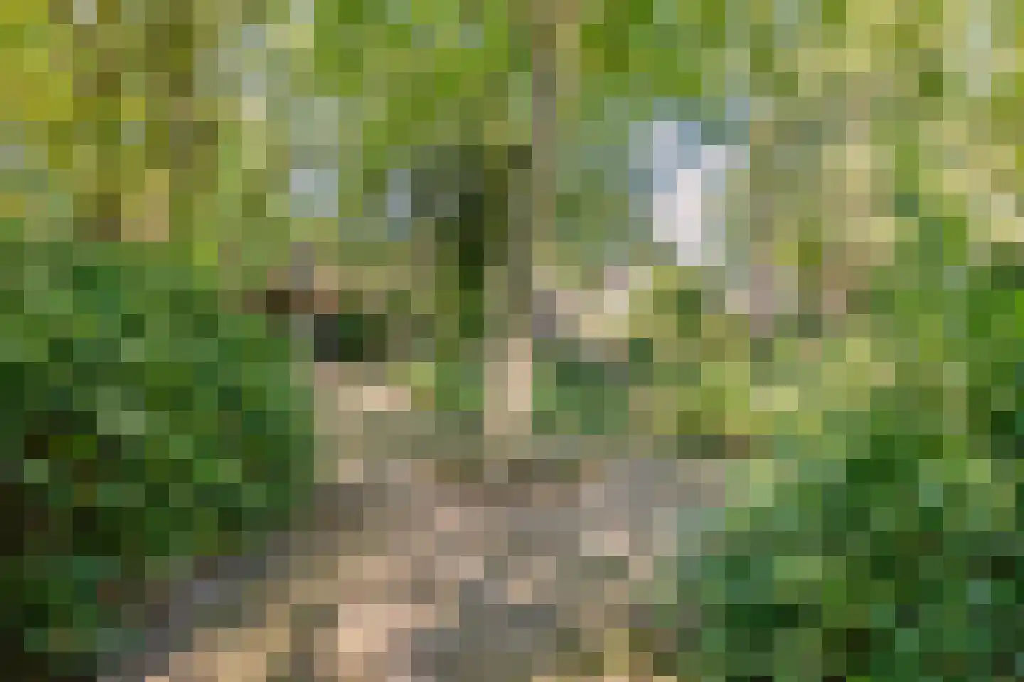 Vaartweg 8 Smilde thumbnail 75