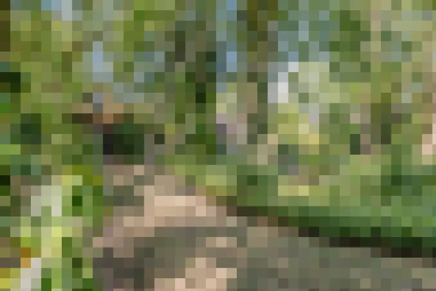 Vaartweg 8 Smilde thumbnail 76