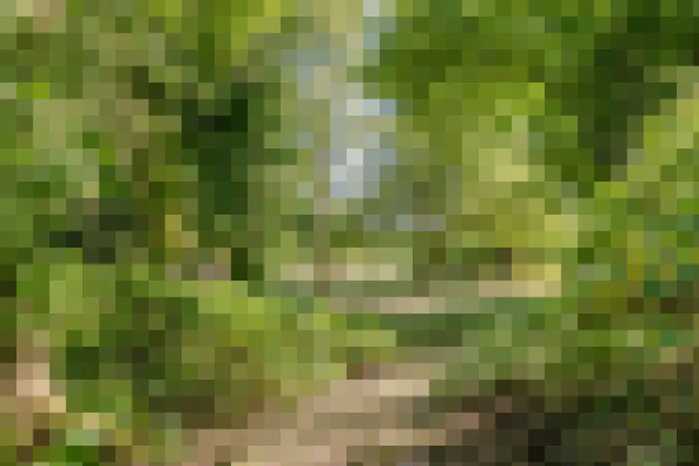 Vaartweg 8 Smilde thumbnail 77