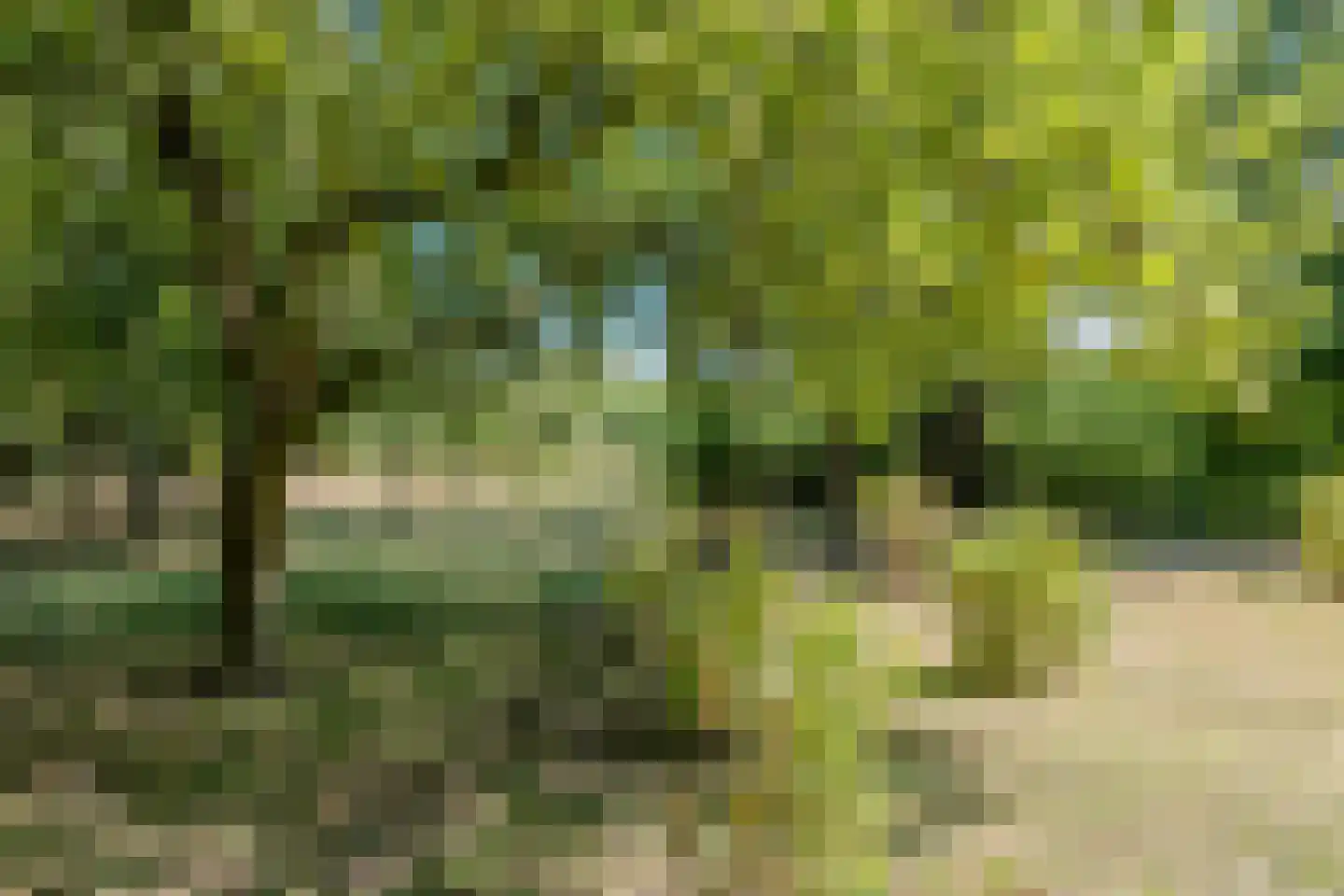 Vaartweg 8 Smilde thumbnail 78