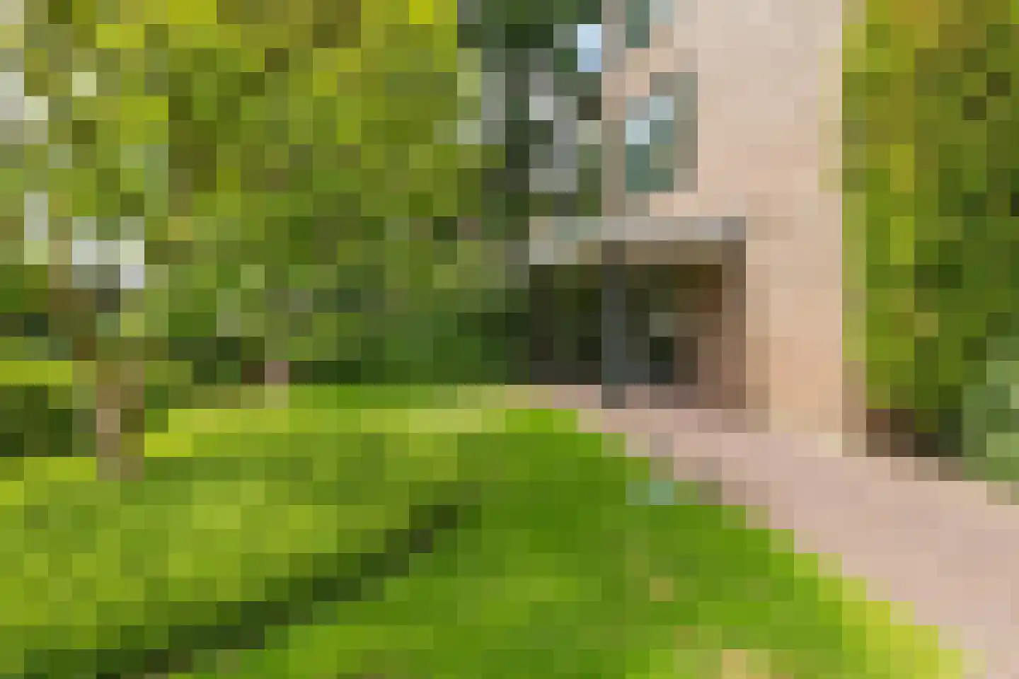 Vaartweg 87 7 Hilversum thumbnail 4