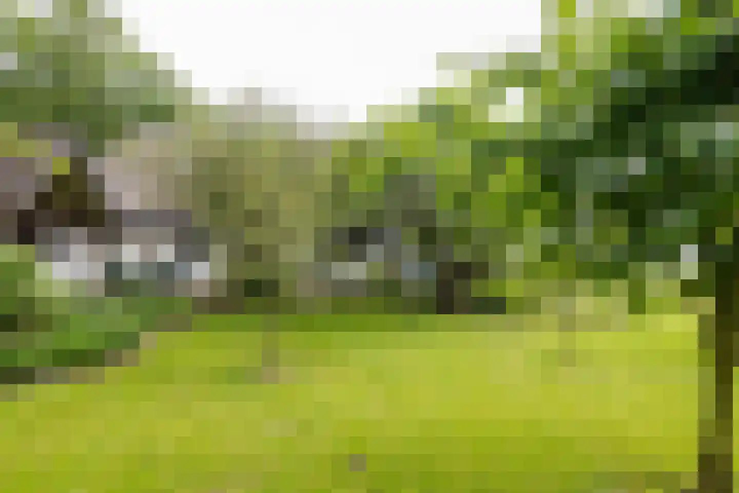 Vaartweg 87 Smilde thumbnail 30