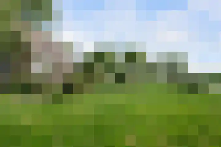 Vaartweg 9 Goudswaard thumbnail 33