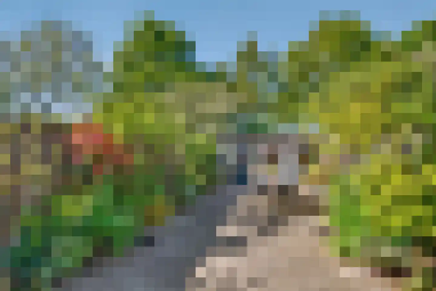 Vaarvonder 52 Vught thumbnail 14